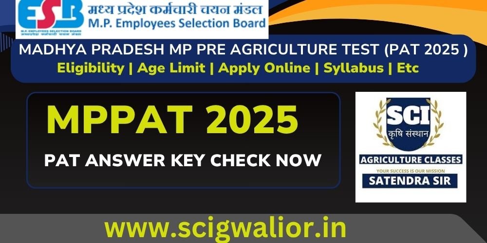 Mp Pat Answer key 2025 Check Now